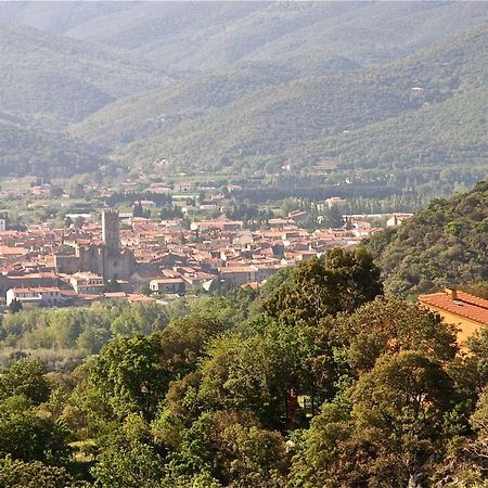 Gite Des Orgues De La Sybille Agave Canigou Esterno foto