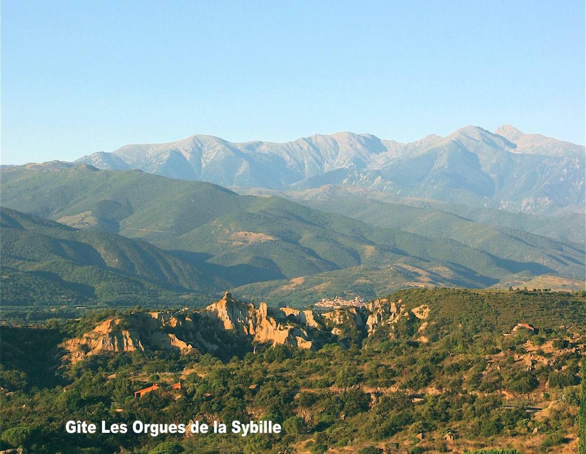 Gite Des Orgues De La Sybille Agave Canigou Esterno foto