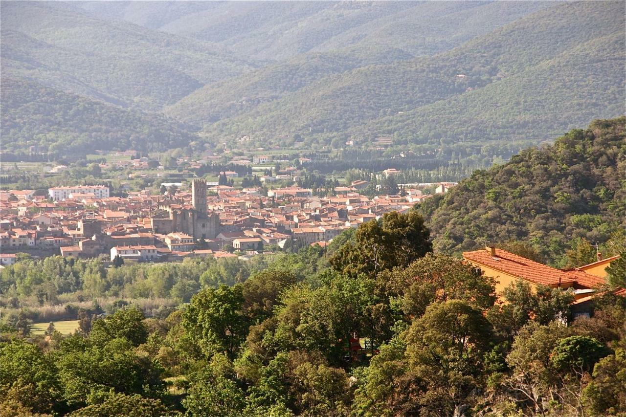 Gite Des Orgues De La Sybille Agave Canigou Esterno foto